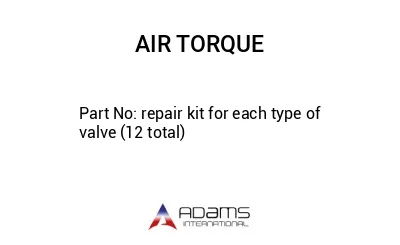 repair kit for each type of valve (12 total)