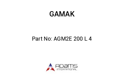 AGM2E 200 L 4