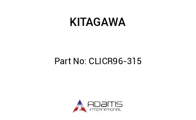 CLICR96-315