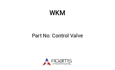 Control Valve