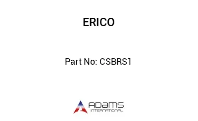 CSBRS1