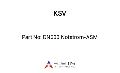 DN600 Notstrom-ASM