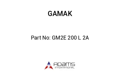 GM2E 200 L 2A