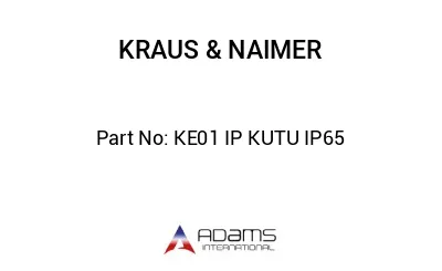 KE01 IP KUTU IP65