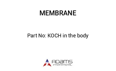 KOCH in the body