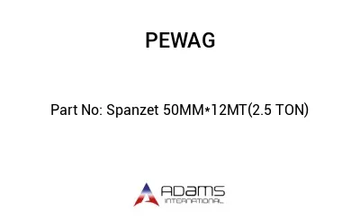 Spanzet 50MM*12MT(2.5 TON)